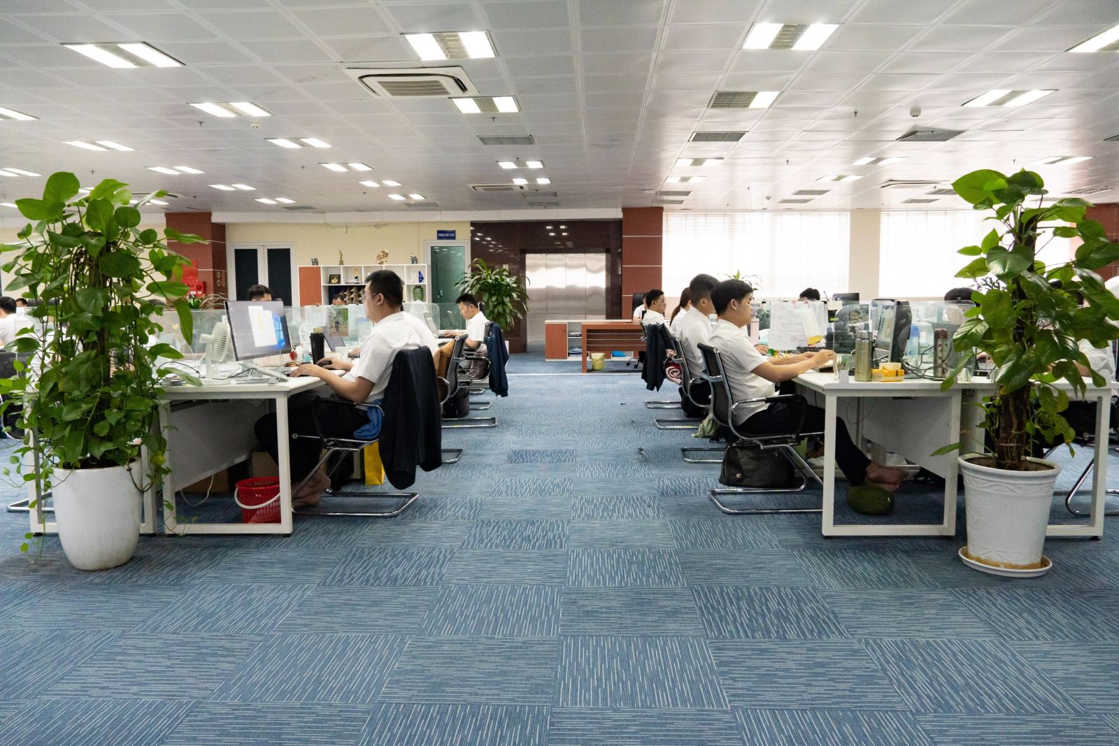 Phần mềm vô hình nhưng người làm ra nó là thật